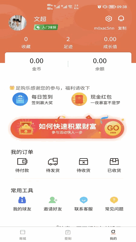 足星