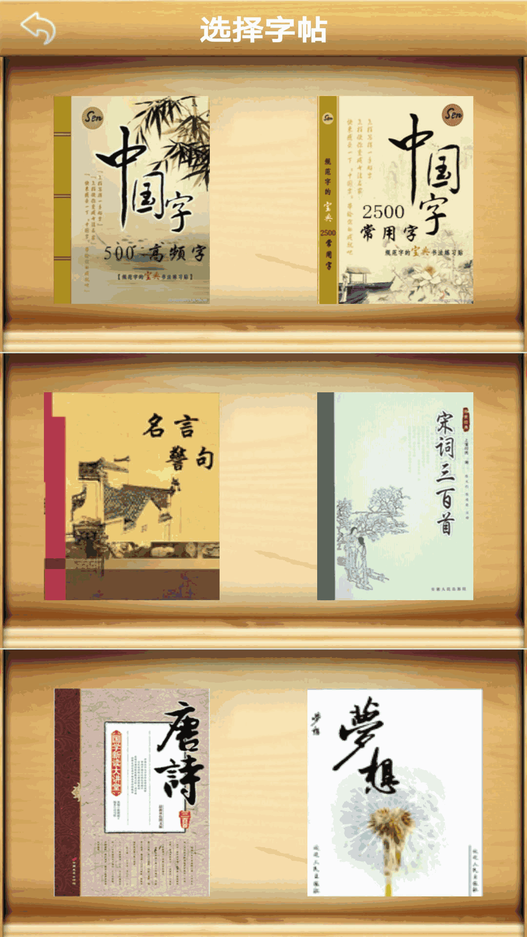 练字书法家